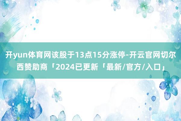 开yun体育网该股于13点15分涨停-开云官网切尔西赞助商「2024已更新「最新/官方/入口」