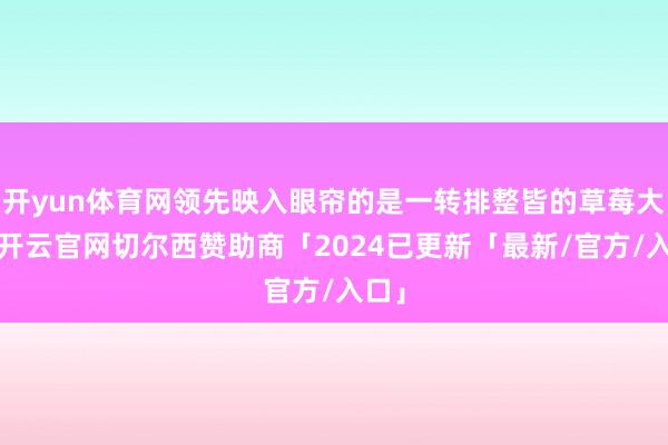 开yun体育网领先映入眼帘的是一转排整皆的草莓大棚-开云官网切尔西赞助商「2024已更新「最新/官方/入口」